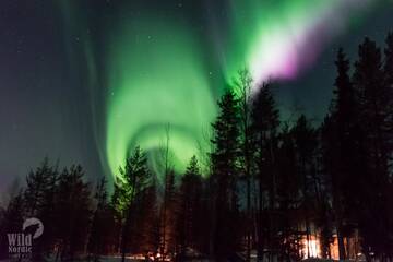 Фотографии Лоджи Arctic Circle Wilderness Resort г. Викаярви (Финляндия) №4 Фото Лоджи Arctic Circle Wilderness Resort г. Викаярви 4