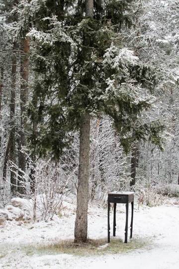 Фото номера Cемейный номер с собственной ванной комнатой Загородные дома Scandinavian Dream Vikajarvi- Rovaniemi г. Викаярви 12