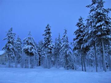 Фото номера Четырехместный номер Загородные дома Scandinavian Dream Vikajarvi- Rovaniemi г. Викаярви 4