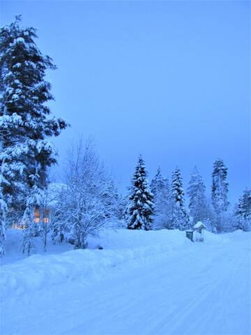 Фото номера Четырехместный номер Загородные дома Scandinavian Dream Vikajarvi- Rovaniemi г. Викаярви 6