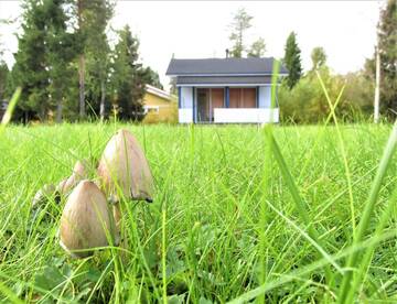 Фотографии Загородные дома Scandinavian Dream Vikajarvi- Rovaniemi г. Викаярви (Финляндия) №2 Фото Загородные дома Scandinavian Dream Vikajarvi- Rovaniemi г. Викаярви 2